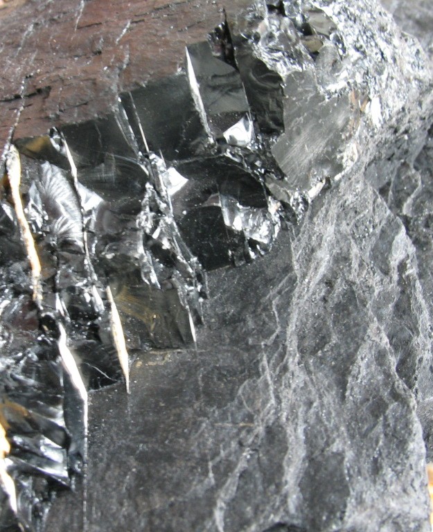 Liotipo, mineral fotografado por Romy Castro, que estará na Conferência transdisciplinar.